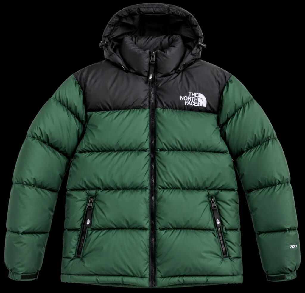 Piumino THE NORTH FACE 700 verde e nero con cappuccio