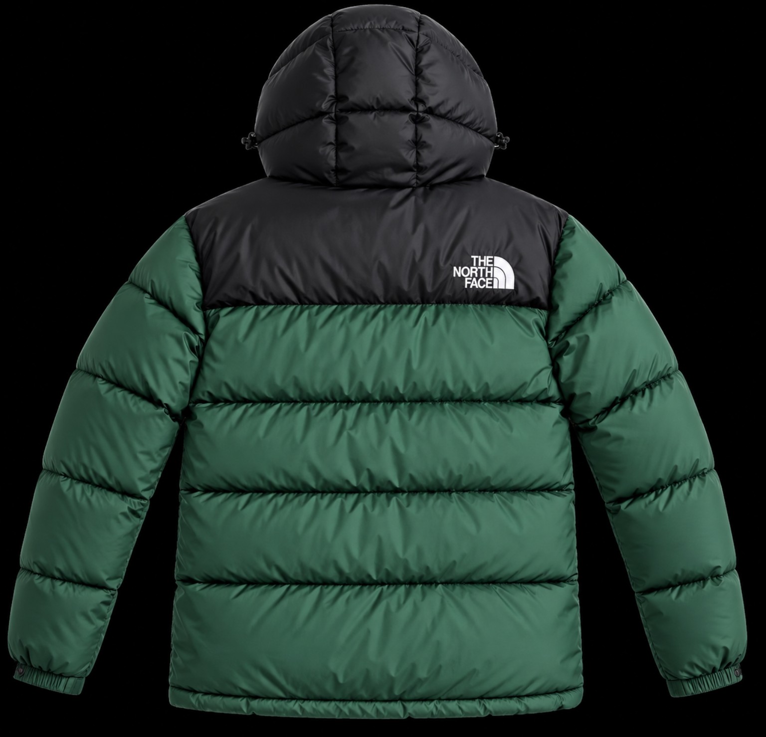 THE NORTH FACE Piumino 700 verde e nero con cappuccio, foto posteriore
